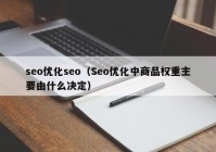 seo优化seo（Seo优化中商品权重主要由什么决定）