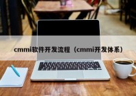 cmmi软件开发流程（cmmi开发体系）